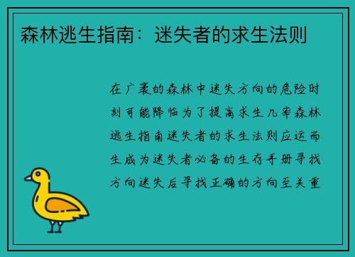 森林逃生指南：迷失者的求生法则